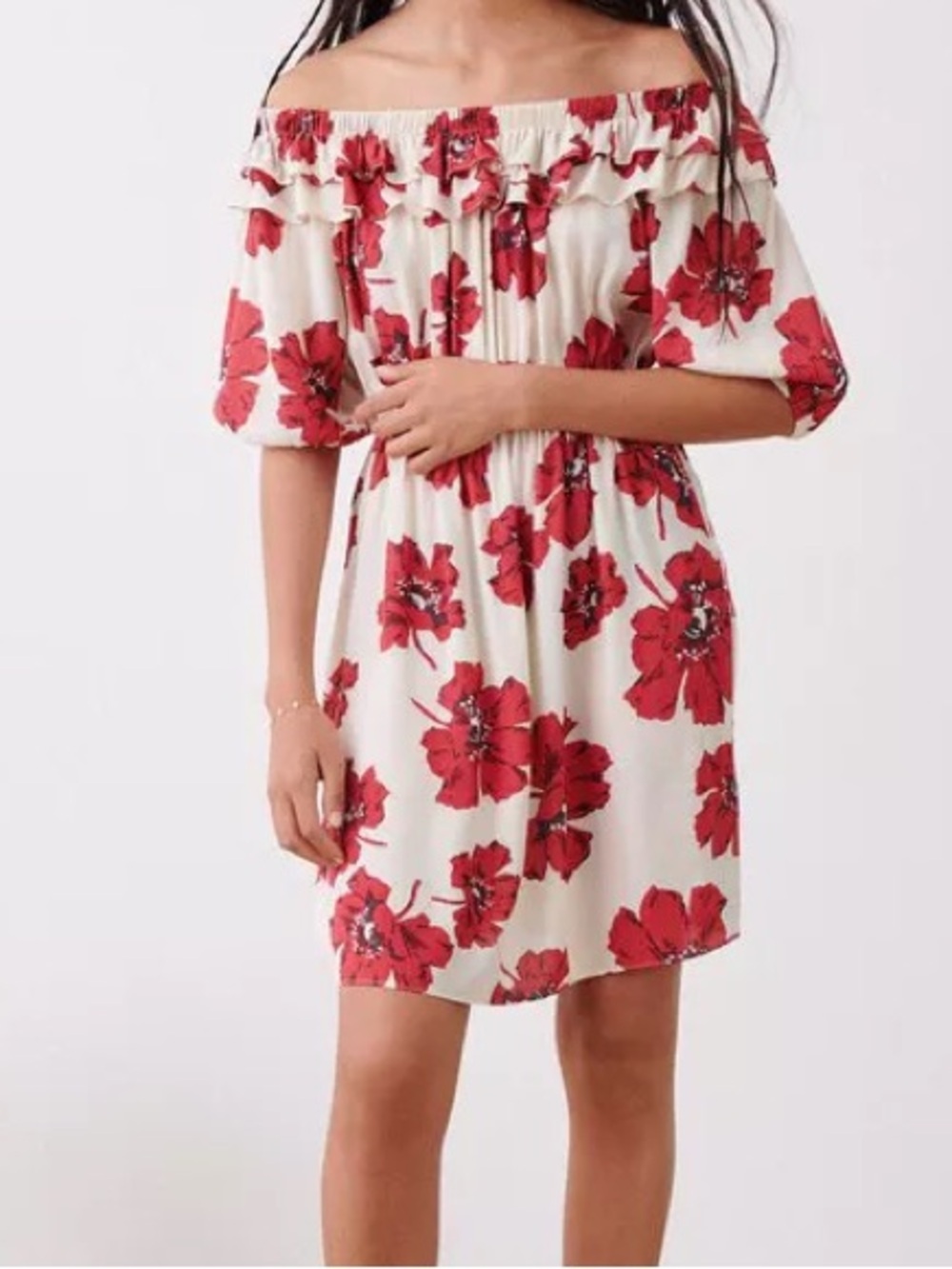 Ba&sh Kiara Floral Print Dress NWT Size Large